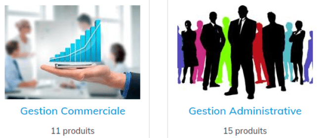 INSTALLATION  ET VENTE DES MEILLEURS LOGICIELS DE GESTION COMMERCIALE ET ADMINSTRATIVE